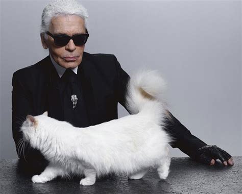 The story of Choupette, fashion’s most famous cat